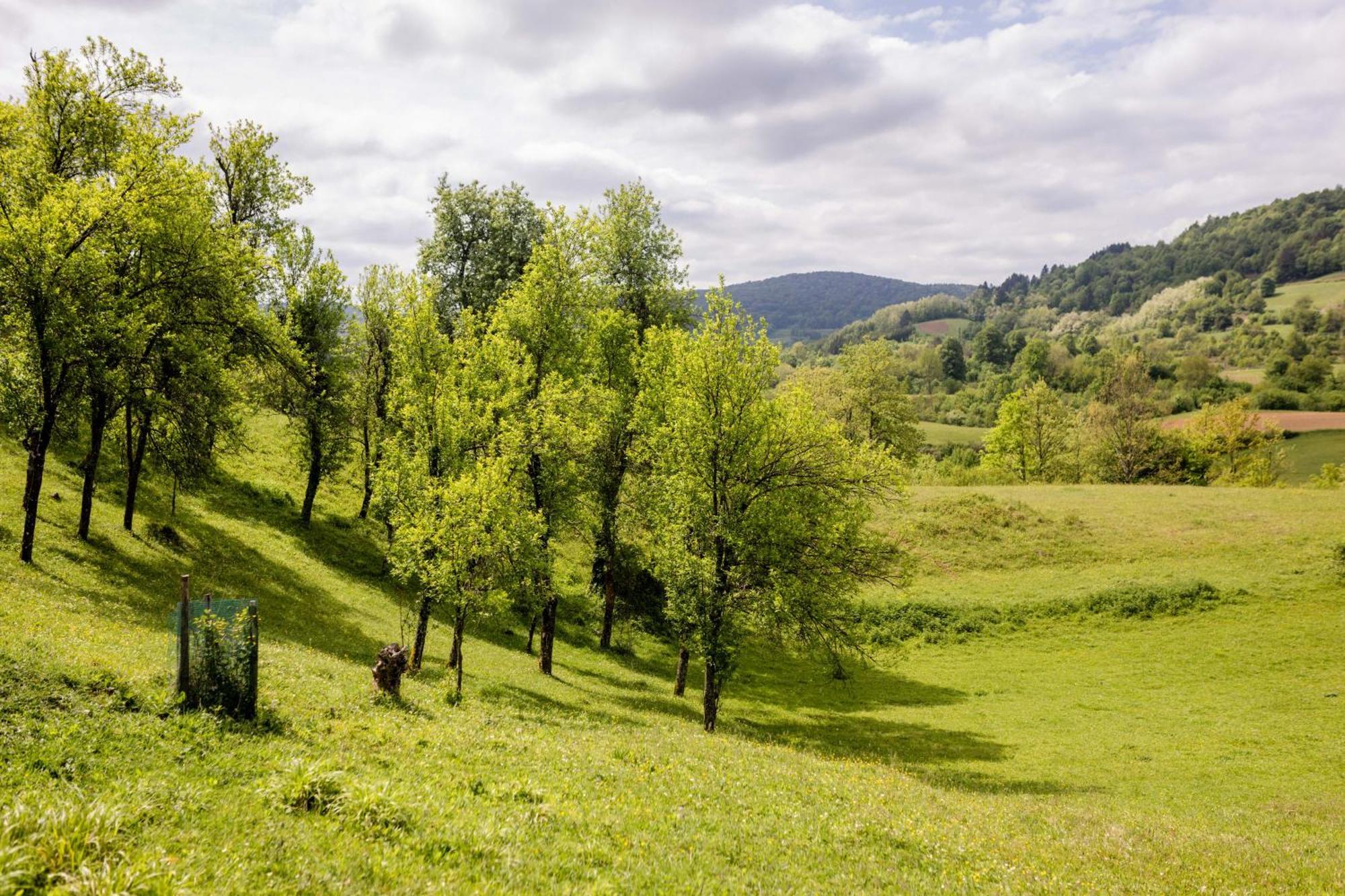 Holiday home Milka